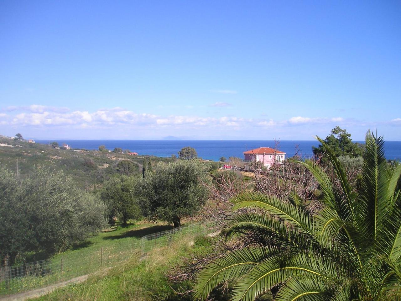 Nikolaos Studios Skala Skala  Экстерьер фото